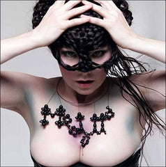 Björk: MEDÚLLA